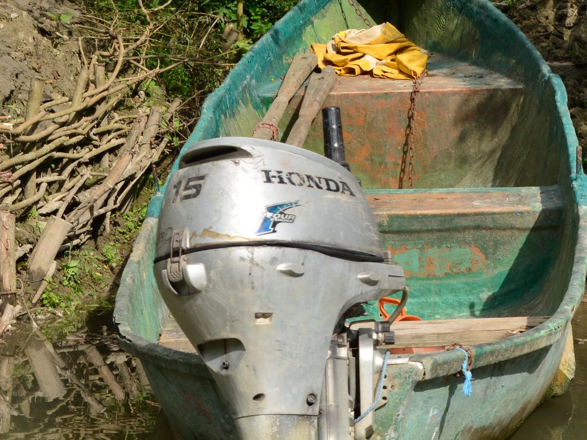 Honda BF20 – Outboard